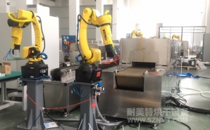 NMT-ZP-108 疫苗玻璃瓶小型預熱加固化自動裝配線(蘇州?？松?